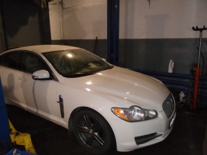 SERVIS-SPEC-002.jpg