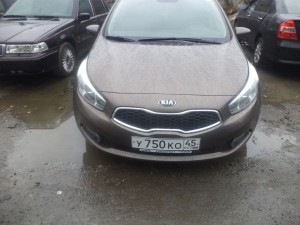 SERVIS-SPEC-123.jpg